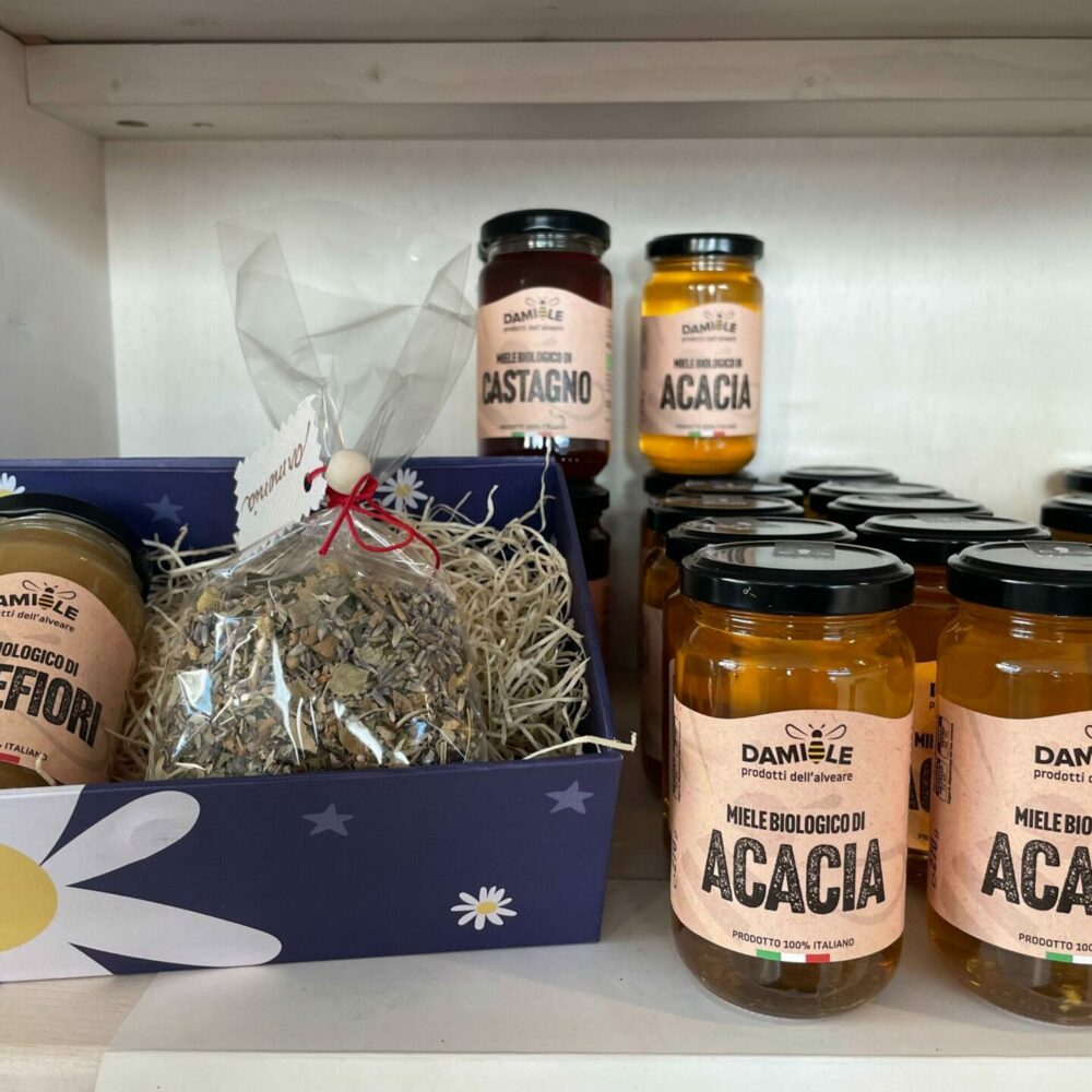 imgi_18_IMG_4887-1-scaled